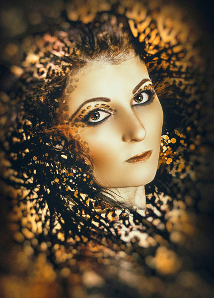 Photograph Vicki Lea Boulter Candy on One Eyeland